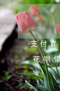 支付寶花唄借唄逾期會不會起訴我-支付寶花唄借唄逾期會不會起訴我呢