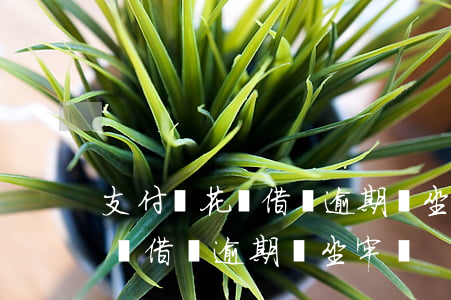 支付寶花唄借唄逾期會坐牢嗎嗎-支付寶花唄借唄逾期會坐牢嗎?