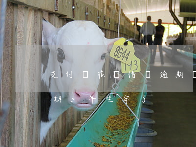 支付寶花唄借唄逾期會坐牢嗎(支付寶借唄逾期3年坐牢了)