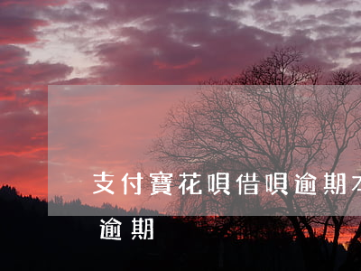 支付寶花唄借唄逾期本部-支付寶花唄 借唄逾期