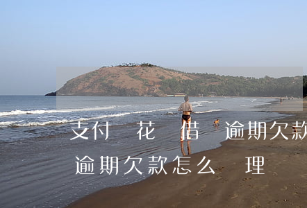 支付寶花唄借唄逾期欠款-支付寶花唄借唄逾期欠款怎么處理