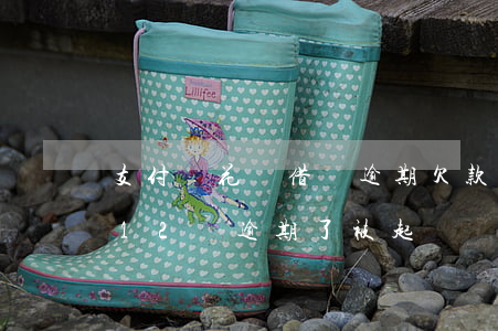 支付寶花唄借唄逾期欠款11萬(花唄借唄欠12萬逾期了被起訴會坐牢嗎)