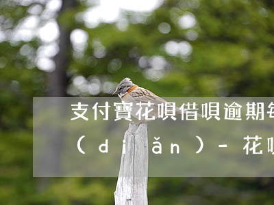 支付寶花唄借唄逾期每個(gè)月還一點(diǎn)-花唄借唄還完逾期后剩下的按月還還會(huì)被起訴嗎