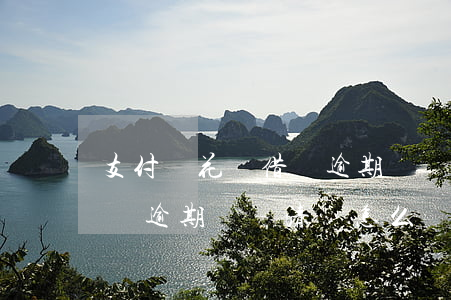 支付寶花唄借唄逾期沒結清-支付寶花唄借唄逾期沒結清會怎么樣