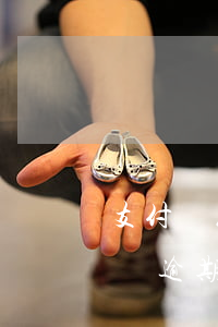 支付寶花唄借唄逾期沒還咋辦（支付寶花唄借唄逾期沒還咋辦）