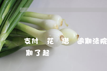支付寶花唄借唄逾期法院起訴 支付寶花唄逾期了起訴