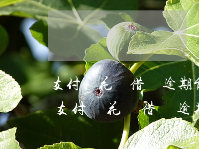 支付寶花唄借唄逾期能協(xié)商嗎-支付寶花唄借唄逾期能協(xié)商嗎