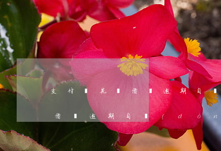 支付寶花唄借唄逾期自動(dòng)扣款(借唄逾期自動(dòng)扣款怎么辦)