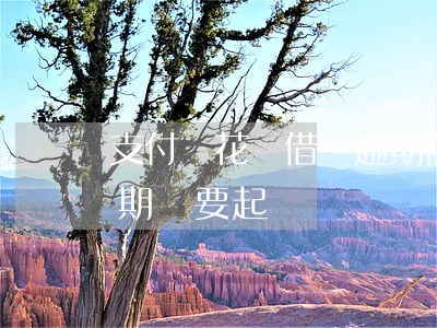 支付寶花唄借唄逾期被起訴了(支付寶花唄逾期說要起訴)