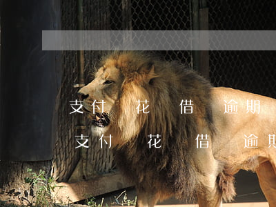 支付寶花唄借唄逾期還可以買高鐵坐票嗎-支付寶花唄借唄逾期可以坐飛機(jī)嗎