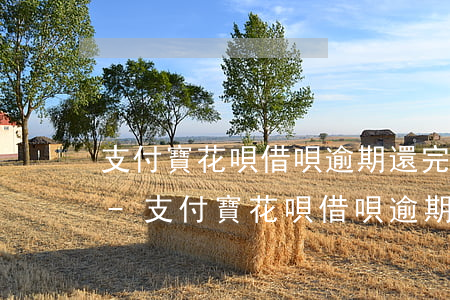 支付寶花唄借唄逾期還完多久恢復(fù)-支付寶花唄借唄逾期還完多久恢復(fù)征信