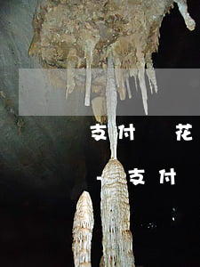 支付寶花唄借唄逾期還能坐飛機(jī)不-支付寶花唄借唄逾期還能坐飛機(jī)不還嗎
