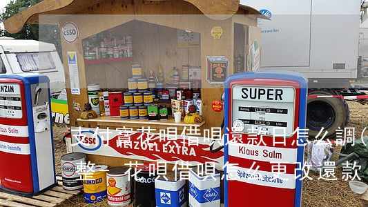 支付寶花唄借唄還款日怎么調(diào)整-花唄借唄怎么更改還款日期