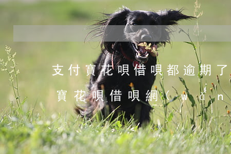 支付寶花唄借唄都逾期了總欠款8萬多（支付寶花唄借唄網(wǎng)貸逾期）
