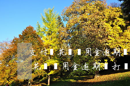 支付寶花唄備用金逾期會打電話嗎-支付寶花唄備用金逾期會打電話嗎是真的嗎