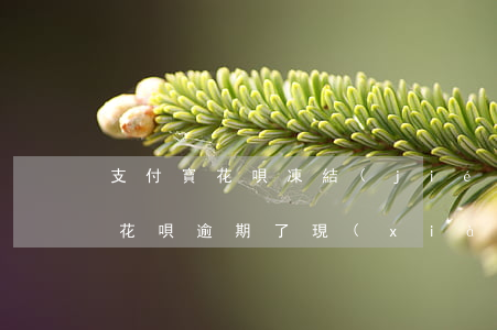 支付寶花唄凍結(jié)是有逾期行為-花唄逾期了,現(xiàn)在還了, 顯示異常凍結(jié)了
