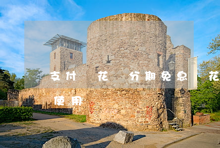 支付寶花唄分期免息劵(花唄分期免息券怎么使用)