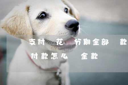 支付寶花唄分期全部還款怎么還-花唄分期付款怎么還全款