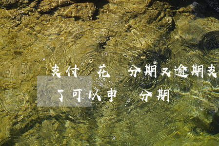 支付寶花唄分期又逾期(支付寶螞蟻花唄逾期了可以申請分期嗎)