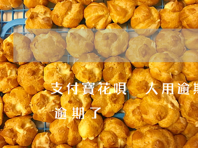 支付寶花唄別人用逾期了(支付寶花唄別人用逾期了)
