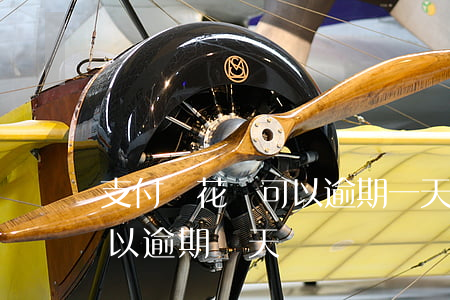 支付寶花唄可以逾期一天嗎-支付寶花唄可以逾期幾天