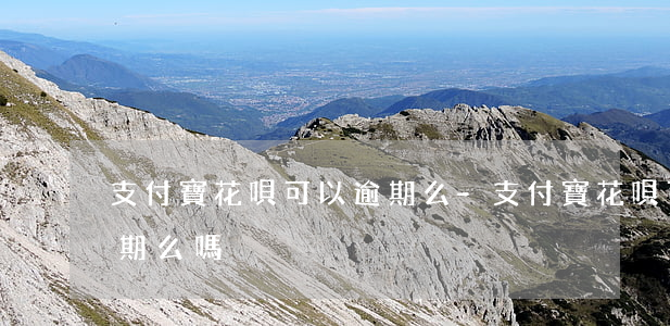 支付寶花唄可以逾期么-支付寶花唄可以逾期么嗎