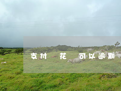 支付寶花唄可以逾期嗎（支付寶花唄出逾期）