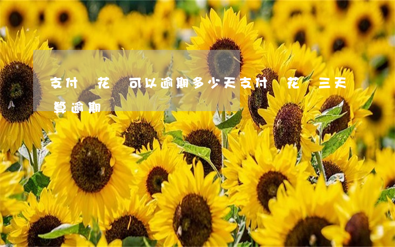 支付寶花唄可以逾期多少天（支付寶花唄三天算逾期嗎）