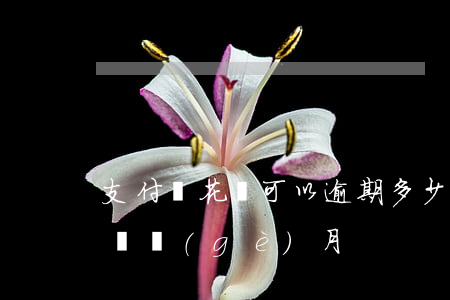 支付寶花唄可以逾期多少天(支付寶花唄逾期幾個(gè)月)