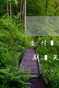 支付寶花唄可以逾期幾天(支付寶花唄可以逾期幾天)