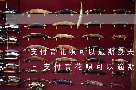 支付寶花唄可以逾期幾天還進(jìn)去-支付寶花唄可以逾期幾天還進(jìn)去嗎