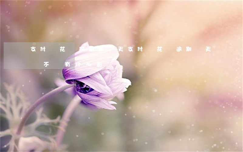 支付寶花唄可逾期幾天(支付寶花唄逾期兩天會不會有什么影響)
