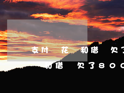 支付寶花唄和借唄欠了8000-支付寶花唄和借唄欠了8000多