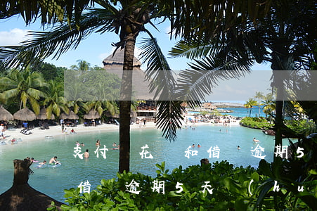 支付寶花唄和借唄逾期5天-支付寶花唄和借唄逾期5天會(huì)怎樣