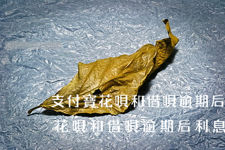 支付寶花唄和借唄逾期后利息多少-支付寶花唄和借唄逾期后利息多少錢(qián)