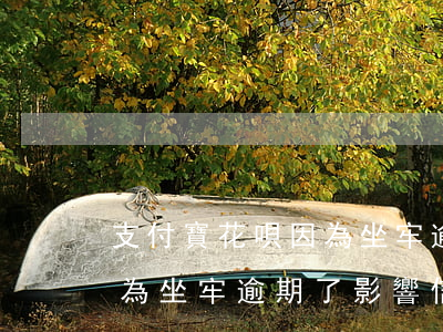 支付寶花唄因為坐牢逾期了-支付寶花唄因為坐牢逾期了影響信譽怎么辦