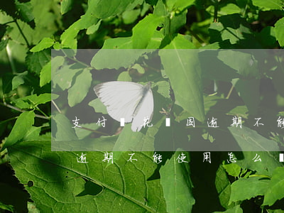 支付寶花唄因逾期不能使用-支付寶花唄因逾期不能使用怎么辦
