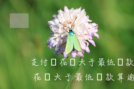 支付寶花唄大于最低還款算逾期嗎-支付寶花唄大于最低還款算逾期嗎怎么辦