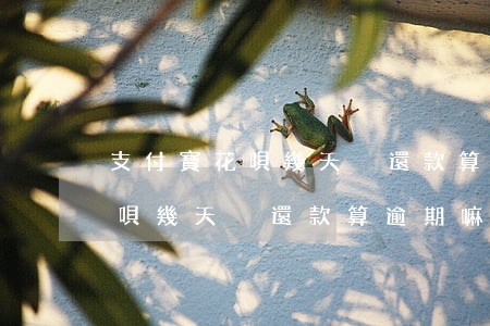 支付寶花唄幾天沒還款算逾期嘛-支付寶花唄幾天沒還款算逾期嘛怎么辦