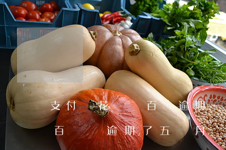 支付寶花唄幾百塊逾期一個月 支付寶花唄幾百塊錢逾期了五個月會起訴嗎