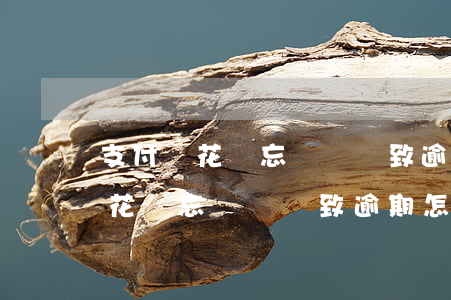 支付寶花唄忘記還導致逾期怎么辦-支付寶花唄忘記還導致逾期怎么辦呢