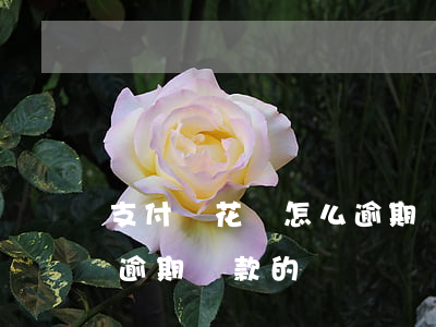 支付寶花唄怎么逾期還款-支付寶花唄怎么逾期還款的