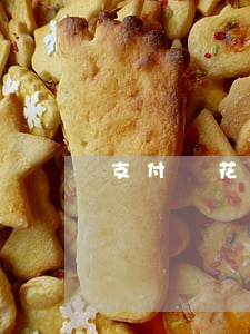 支付寶花唄提前還款的錢怎么還-