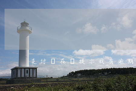 支付寶花唄提示我有逾期，如何解決？