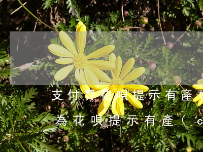 支付寶花唄提示有產(chǎn)品逾期行為(花唄提示有產(chǎn)品逾期無法使用花唄購物是什么意思)
