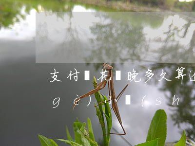 支付寶花唄晚多久算逾期(花唄逾期了幾個(gè)小時(shí)會(huì)有不良后果嗎)