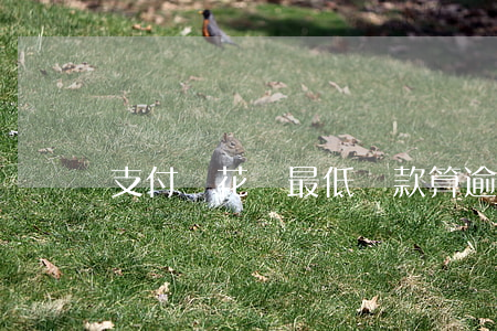 支付寶花唄最低還款算逾期嗎