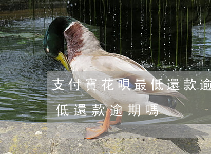 支付寶花唄最低還款逾期嗎-支付寶花唄最低還款逾期嗎