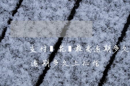 支付寶花唄最高逾期多久-支付寶花唄最高逾期多久上征信