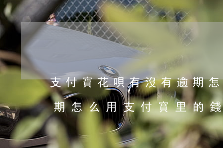 支付寶花唄有沒有逾期怎么將餓了-花唄逾期怎么用支付寶里的錢